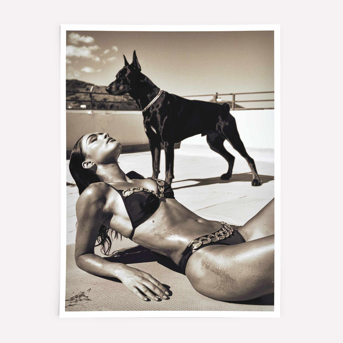 Luxury sunbather print featuring a poised Doberman.