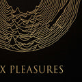 WAX PLEASURES PRINT - Iconic Vinyl Record Art with Joy Division Style