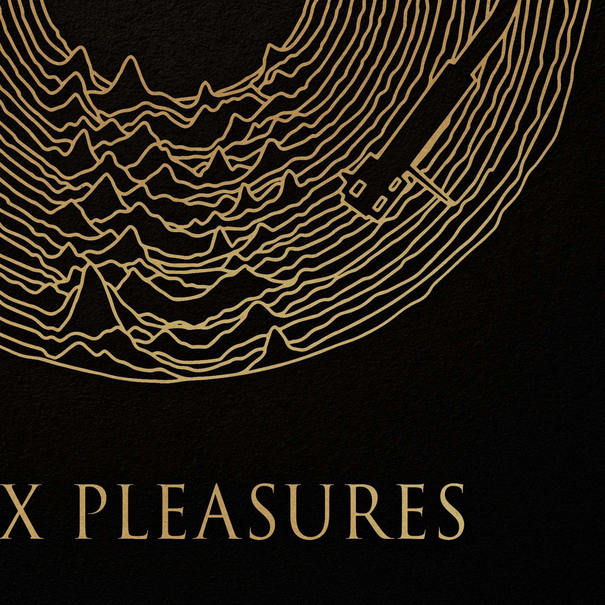 WAX PLEASURES PRINT - Iconic Vinyl Record Art with Joy Division Style